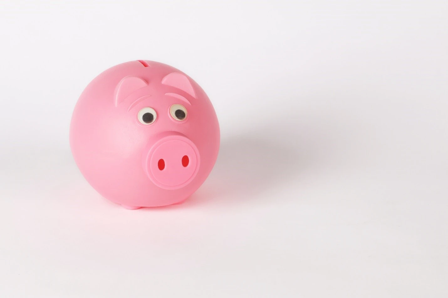 Pink piggy back in front of white background.